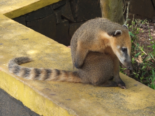 DSCF0293.JPG