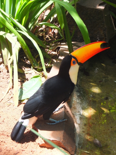 DSCF0159.JPG