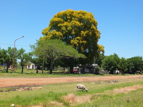 DSCF9838.JPG