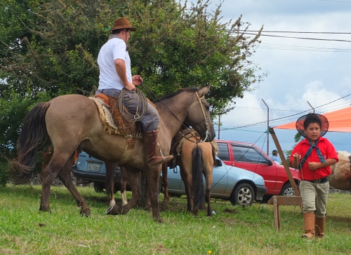 DSCF0079.JPG