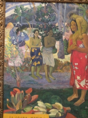 DSCF9672.JPG