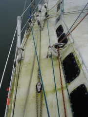 DSC06354.JPG