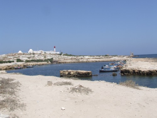 DSCF1141.JPG