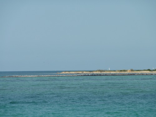 P1010529.JPG