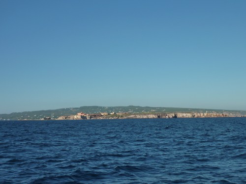 Bizerte, Route du jasmin