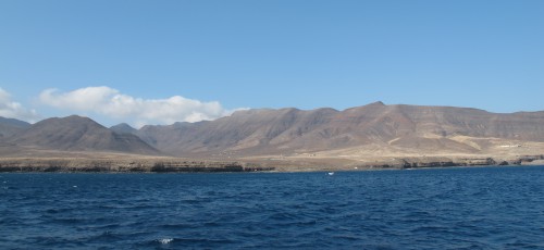 IMG_2246c.jpg