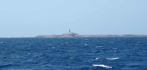 IMG_2240c.jpg