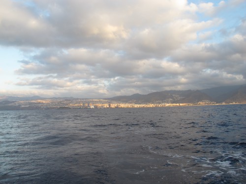 IMG_2228.jpg