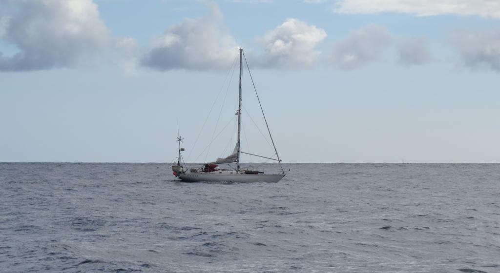 Un voisin
