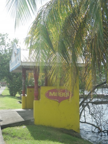 IMGP1560.JPG