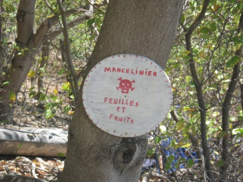 IMGP2455.JPG