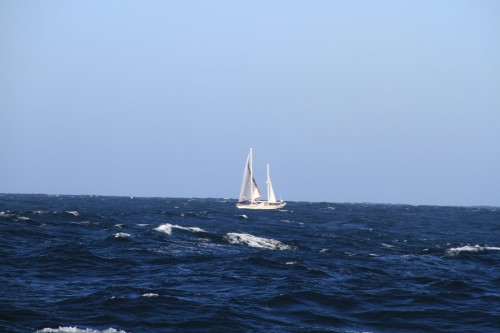 IMG_3453.JPG