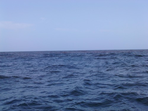 PICT0005.JPG