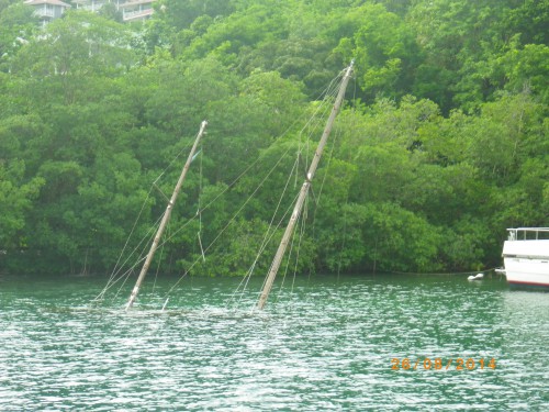 IMGP2903.JPG