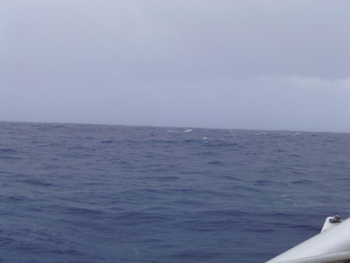PICT0049.JPG