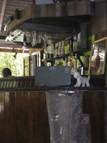IMGP2618.JPG