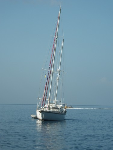 IMGP0545.JPG