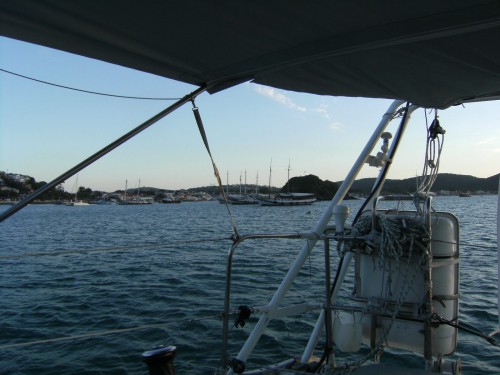 DSCF2889.JPG