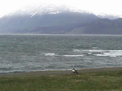 14 Canard Monts.jpg