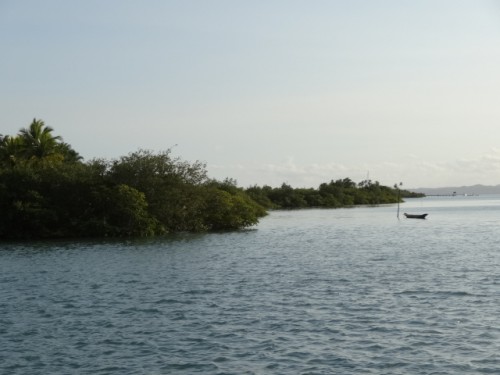 DSC00066.JPG