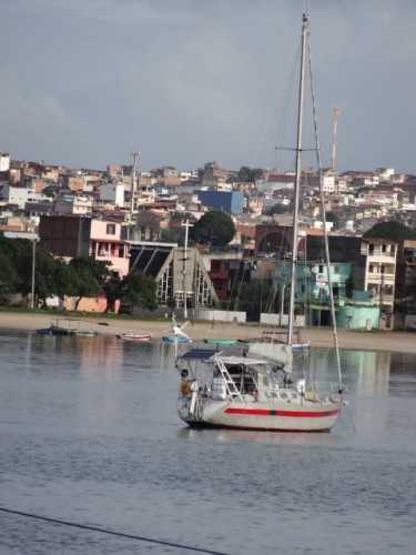 souimanga à Ribeira.JPG