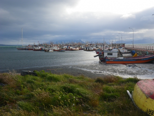 Terminal pesquero.JPG