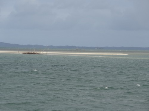DSC00095.JPG
