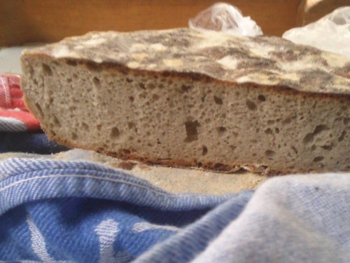 8 Pan Gris.jpg