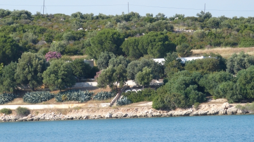 P1080133.JPG