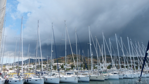 P1080350.JPG