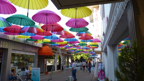 P1090029.JPG