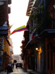 DSC05514.jpg