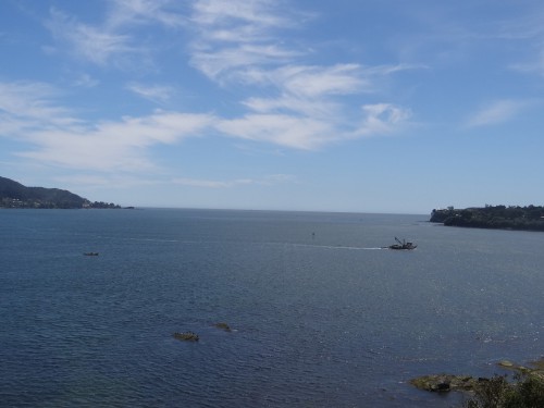 DSC07001.jpg