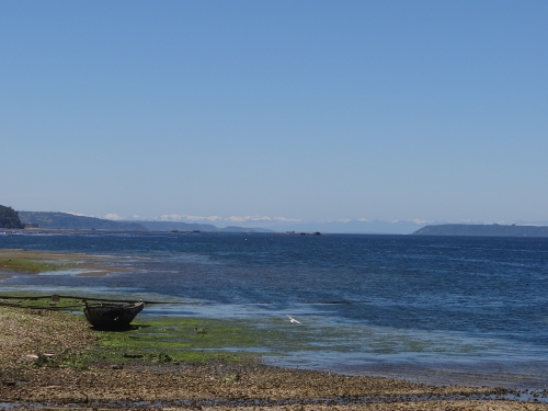 DSC07425.jpg