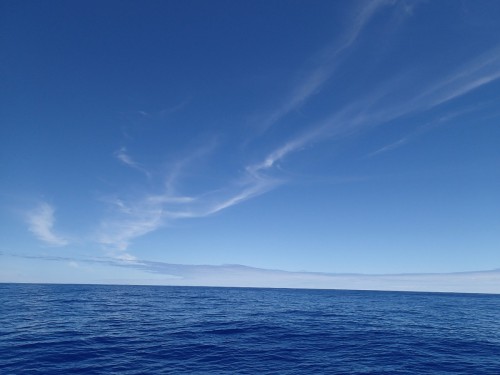 PB035417.jpg