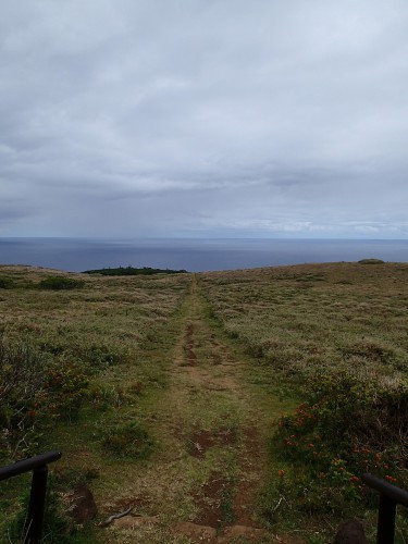 PA275366.jpg