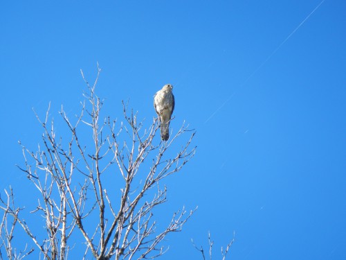 DSCN2254.JPG
