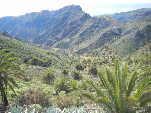 DSCN2187.JPG