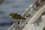 IMG_8201.jpg