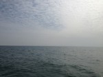 IMG_1626.JPG