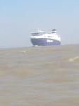 IMG_1649.JPG