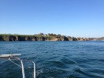 IMG_1593.JPG