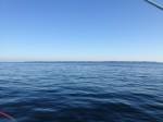 IMG_1602.JPG