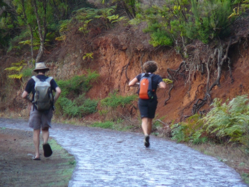 2. Course Gomera.JPG
